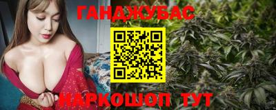 apvp Камышлов