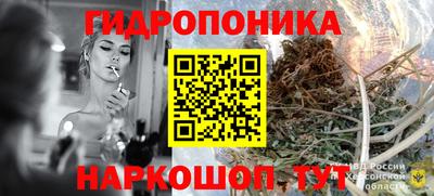 apvp Камышлов