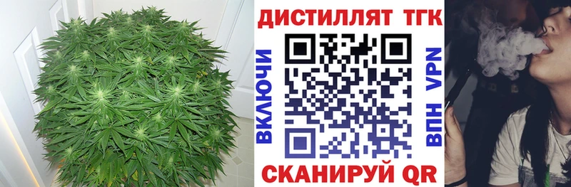 ТГК Wax  Кувандык 