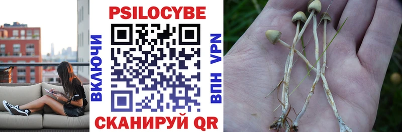 это телеграм  что такое наркотик  Кувандык  Псилоцибиновые грибы прущие грибы 