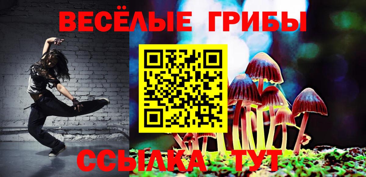 Галлюциногенные грибы прущие грибы Кувандык