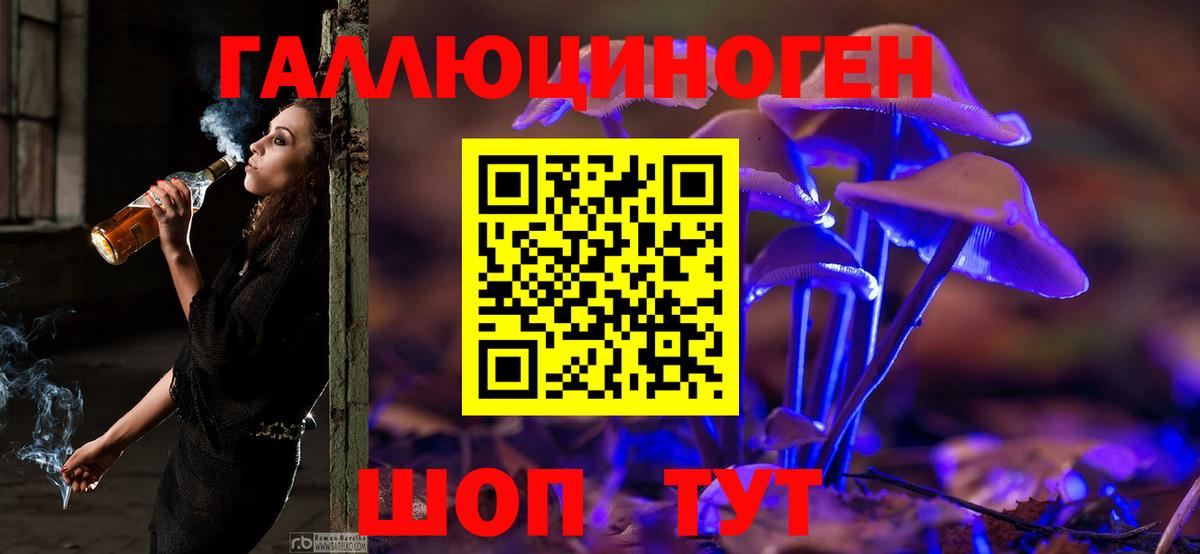 Галлюциногенные грибы мицелий  Вход с VPN  Кувандык  Псилоцибиновые грибы Psilocybine cubensis 